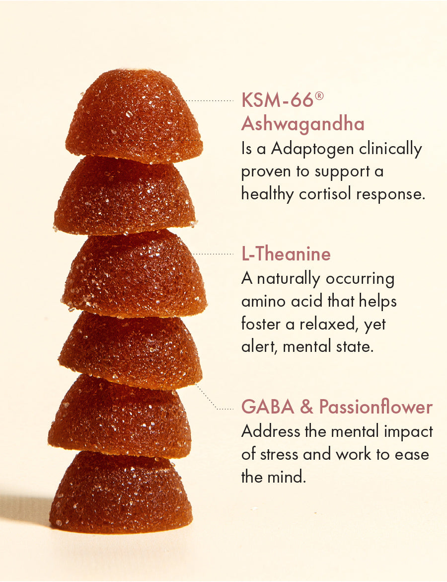 Calm & Collected Stress Support Gummies